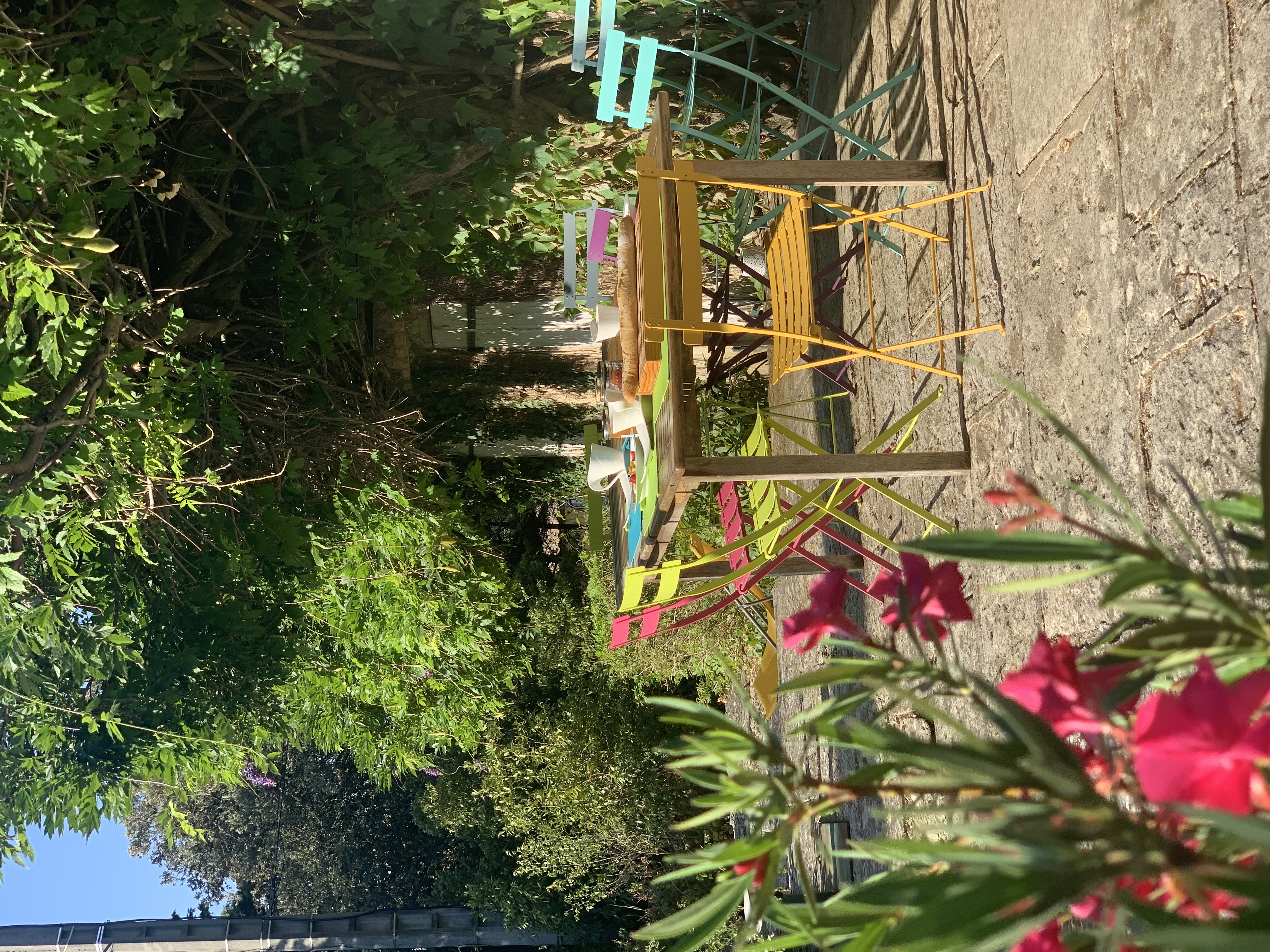 Shaded terrace beneath the wisteria